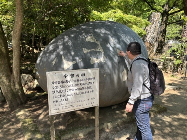 石卵